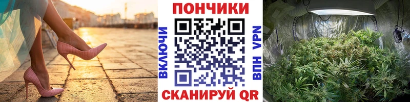 Канабис марихуана Елизаветинская